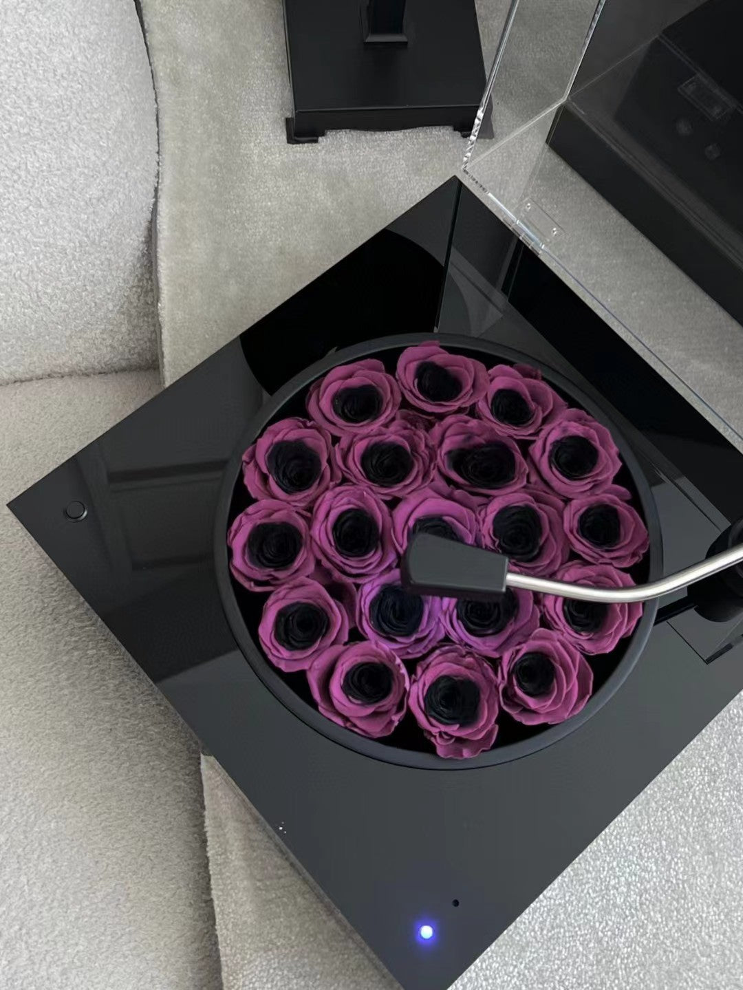 Bowknot Spherical Flower Pot Black Plum Preserved Flowers
